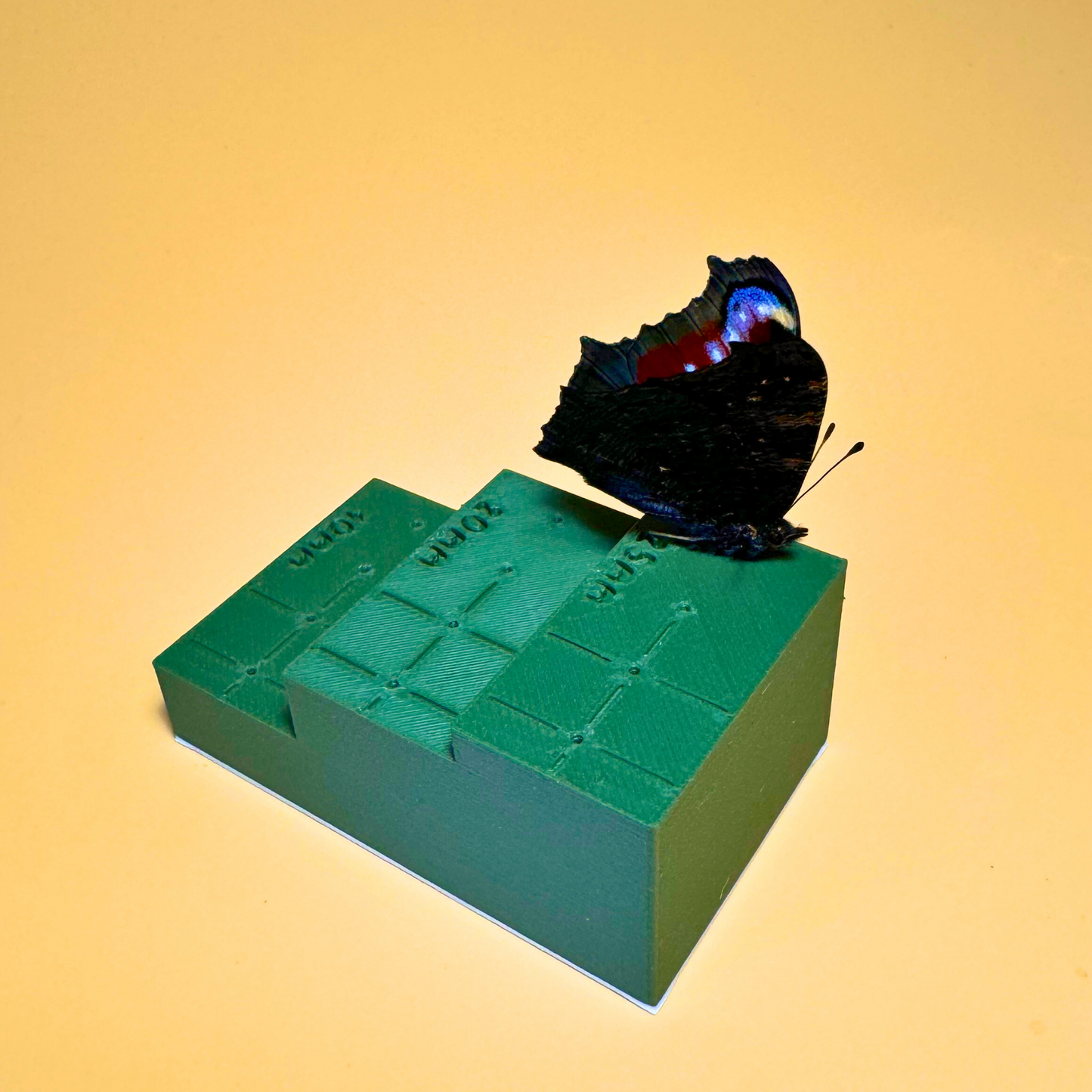 Insekten-Pinning-Block