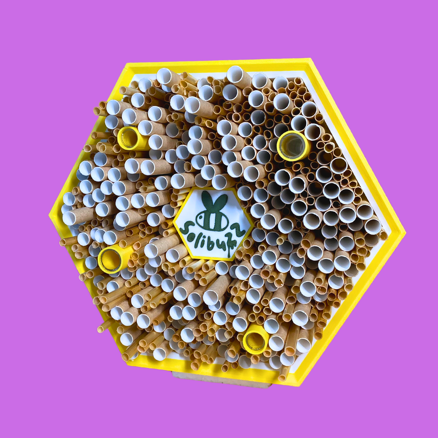 SoliBuzz - Solitärbienenhotel