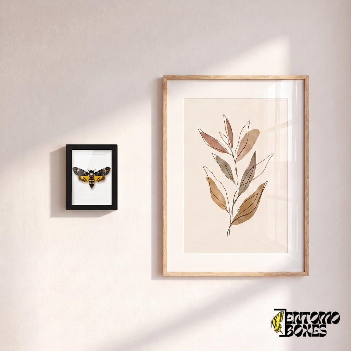 Kleiner gerahmter Totenkopfschwärmer an einer Wand neben einem botanischen Kunstposter