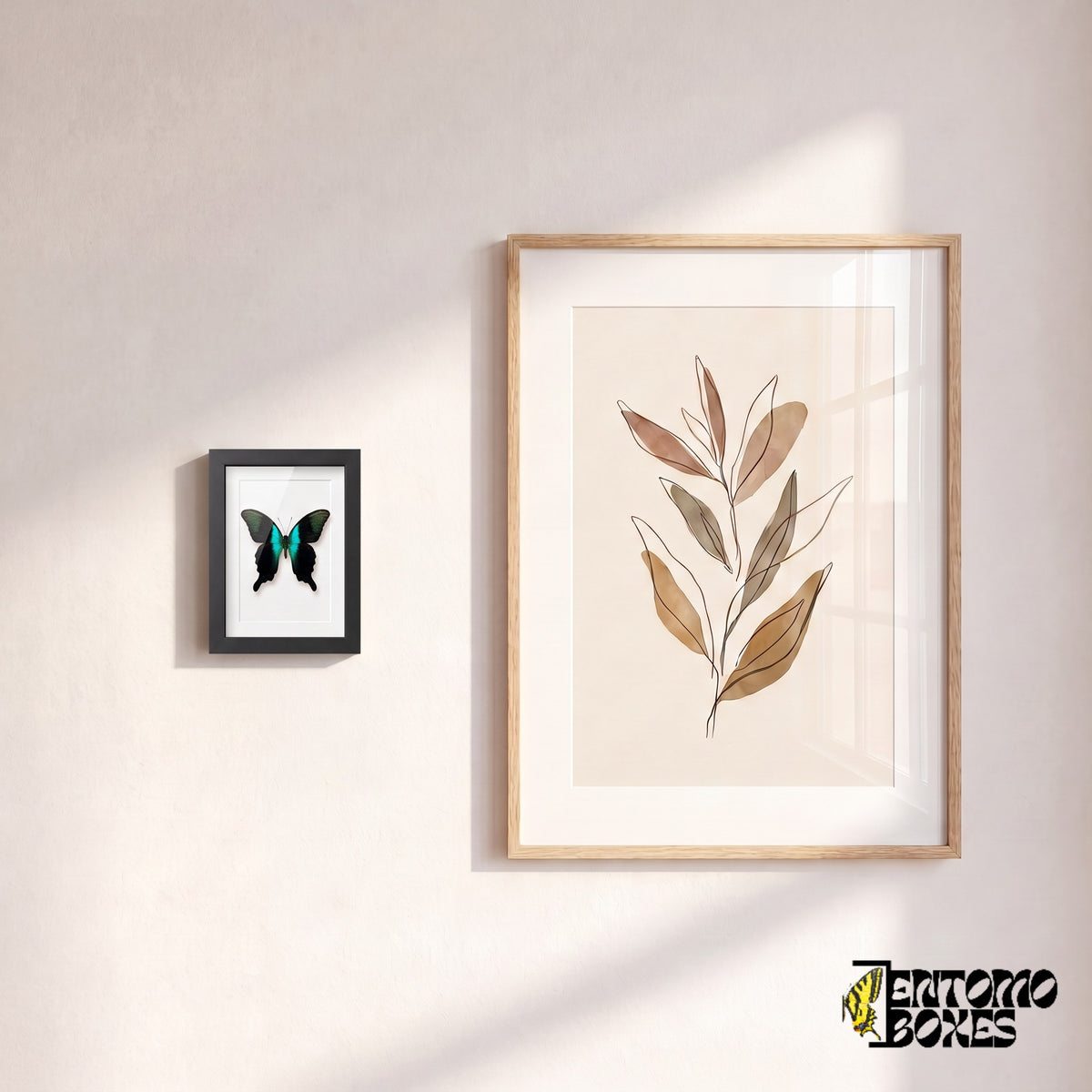 Kleiner gerahmter Peranthus-Schwalbenschwanz an einer Wand neben einem botanischen Kunstposter