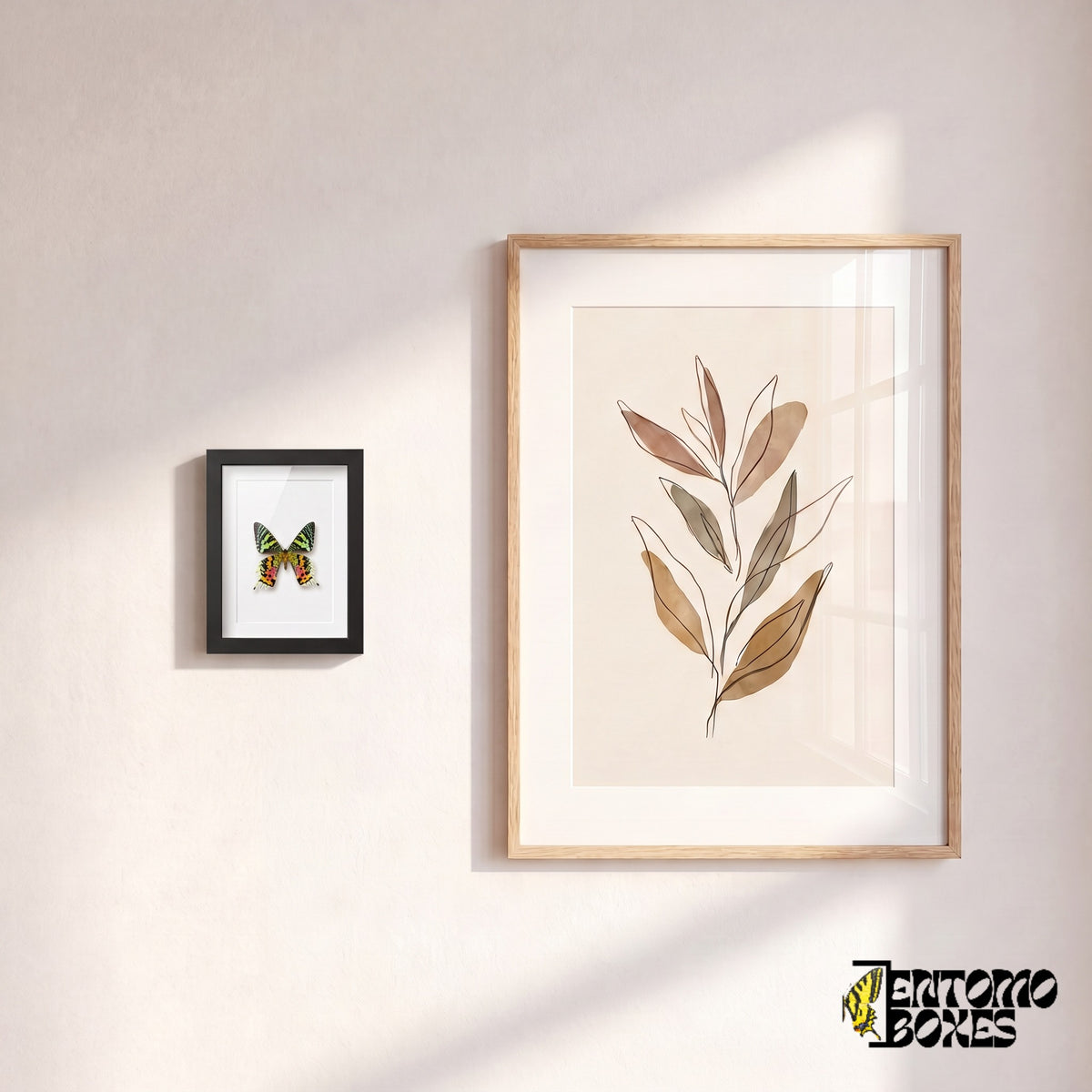 Kleiner gerahmter Madagaskar-Sonnenuntergangsfalter an einer Wand neben einem botanischen Kunstposter