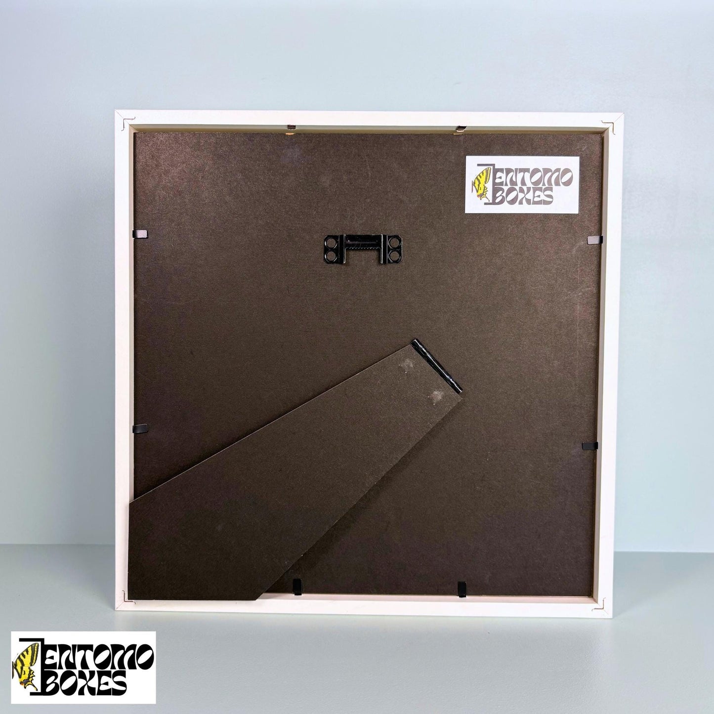 echter Schmetterling photo frame für photos und pictures