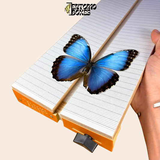 Adjustable Butterfly Pinning Board: Angled Balsa Wood Spreading Board for Insect Mounting & Entomology