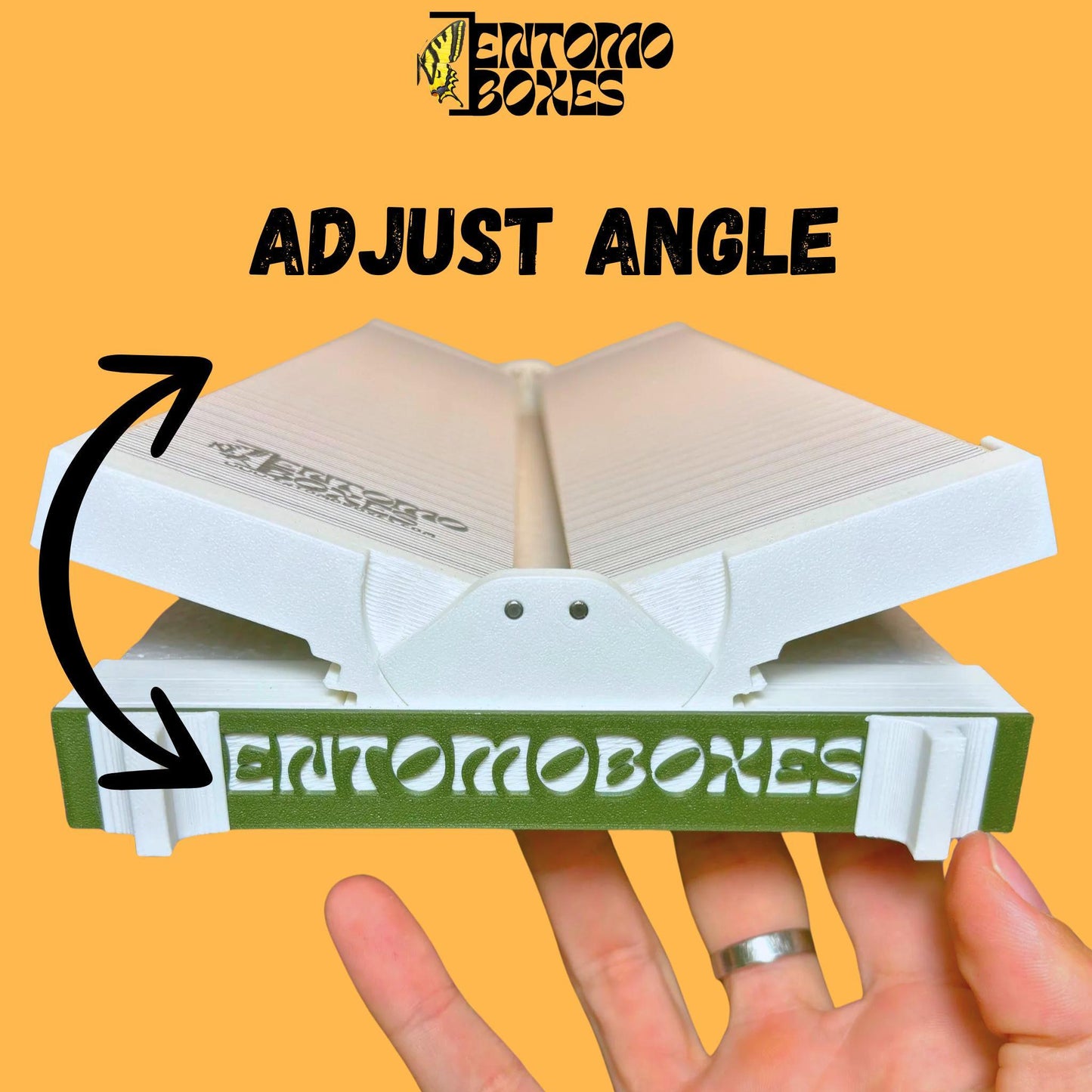 angle adjustable insect mounting board