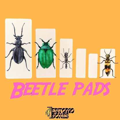 insect pinning cards