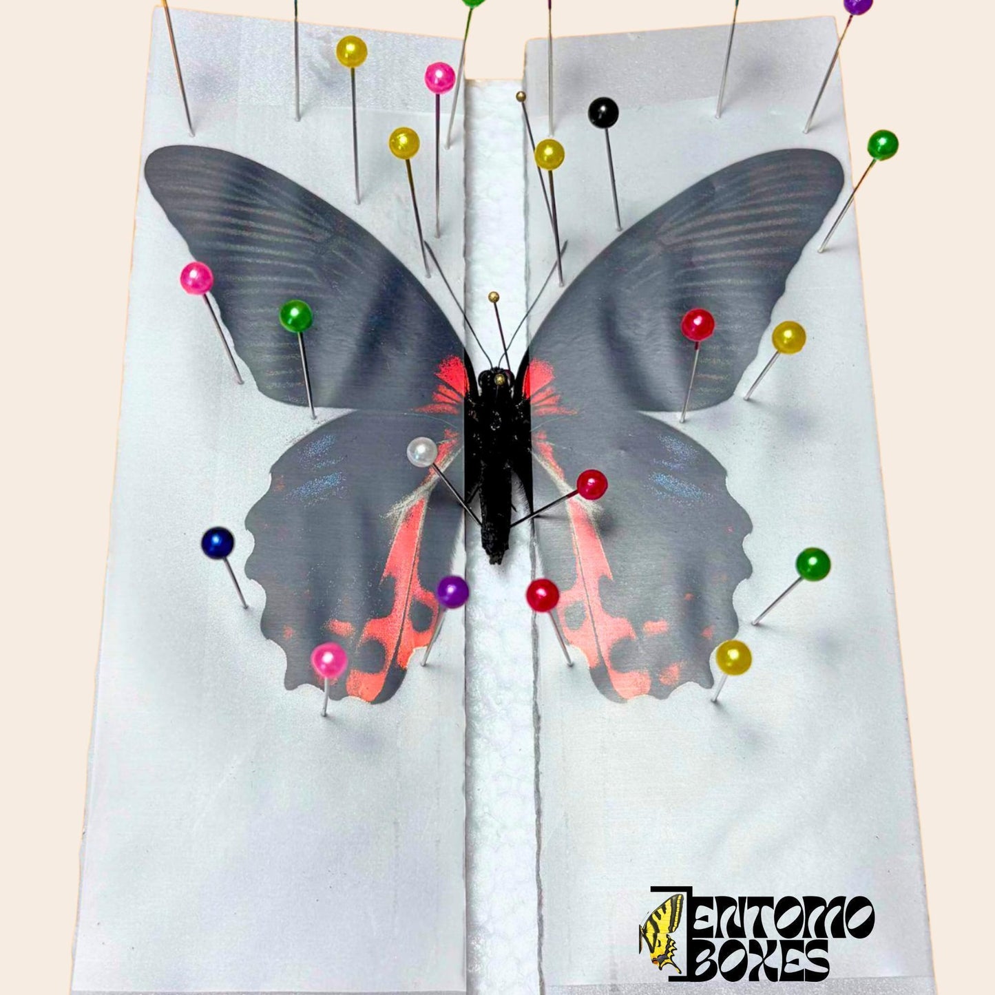 entomology pinning foil strips