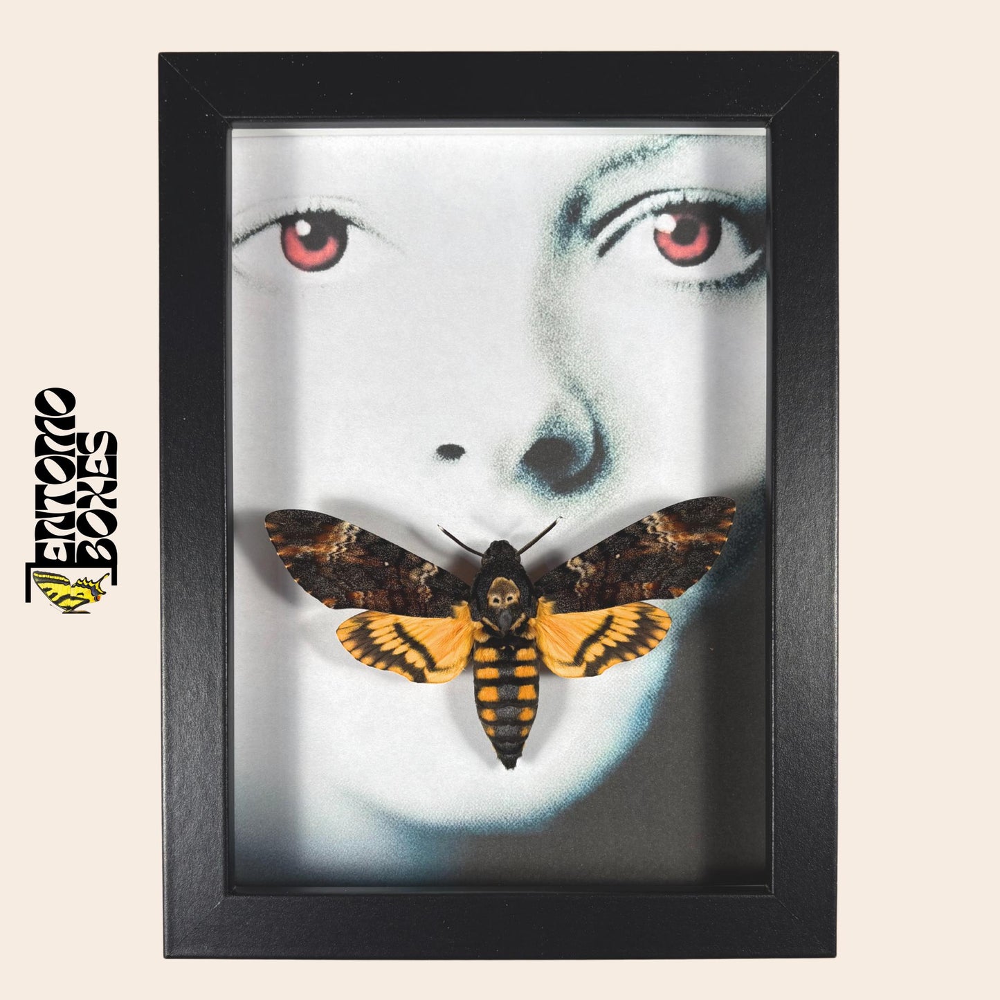 deaths head hawkmoth in frame with silence of the lambs motive