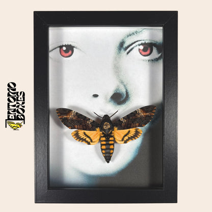 deaths head hawkmoth in frame with silence of the lambs motive