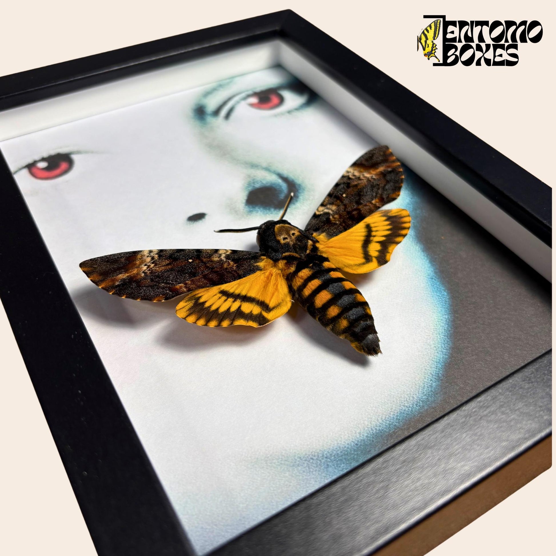 deaths head hawkmoth in frame with silence of the lambs motive