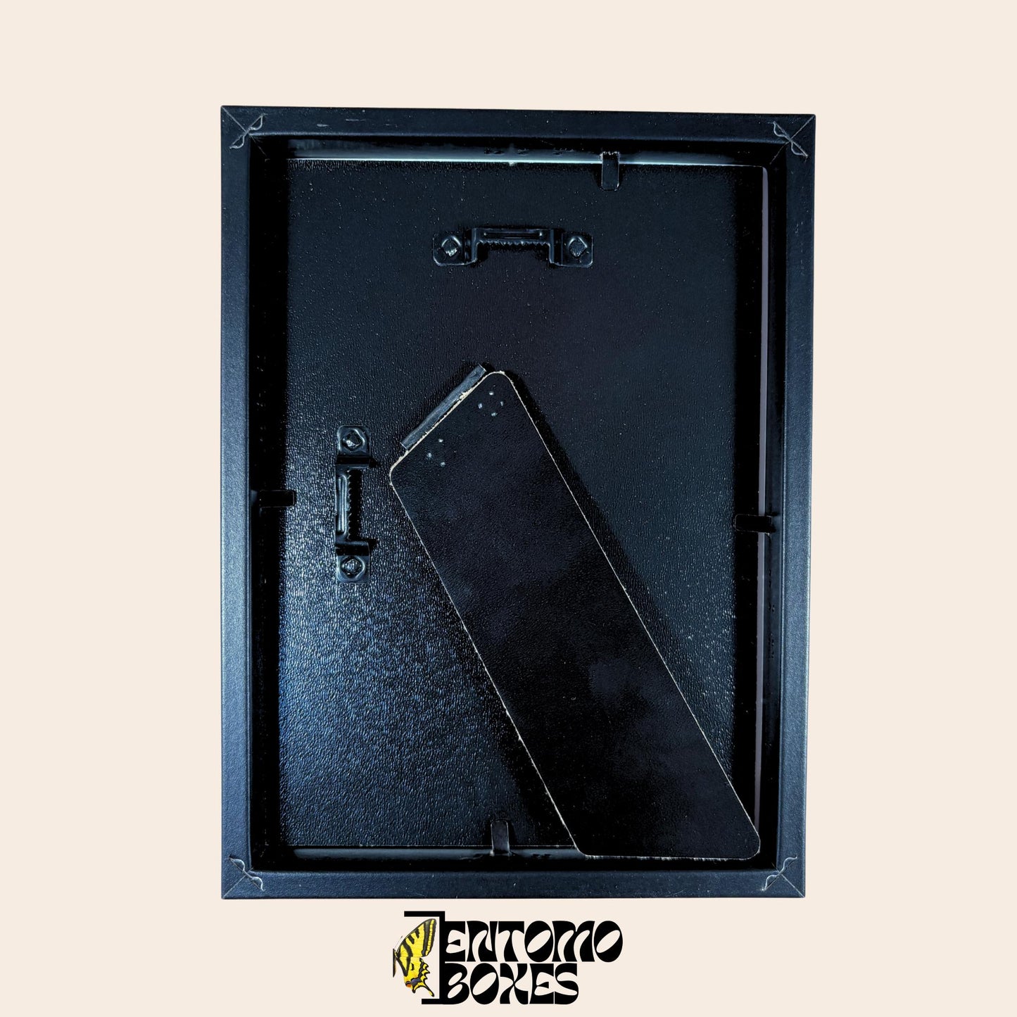 black insect shadow box