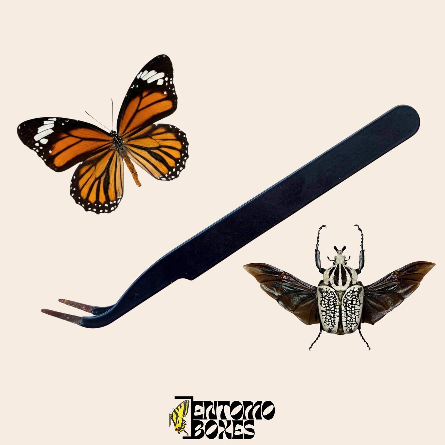 hard tip entomology tweezers