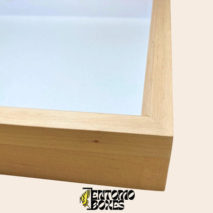 entomology collection box