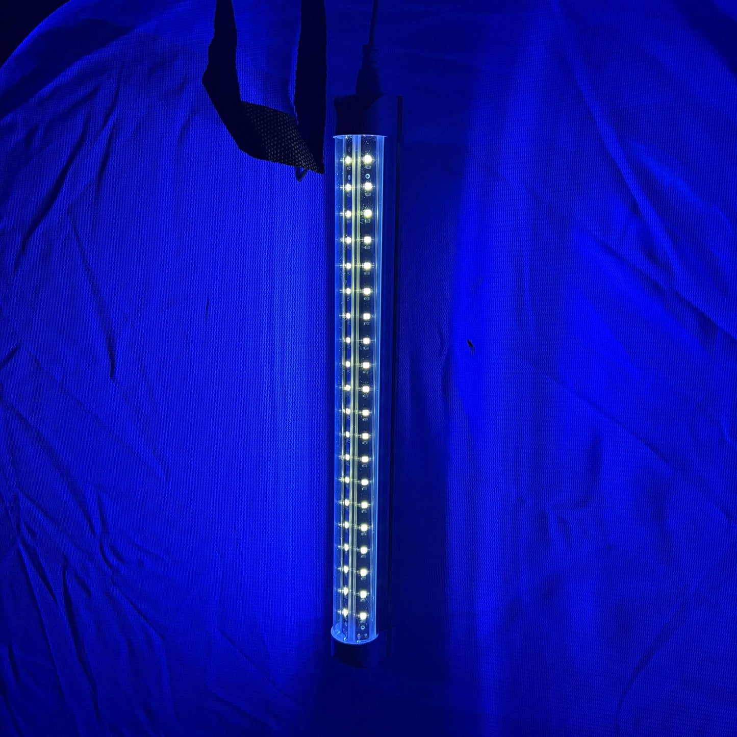led light für attracking Falter und Insekten during the night