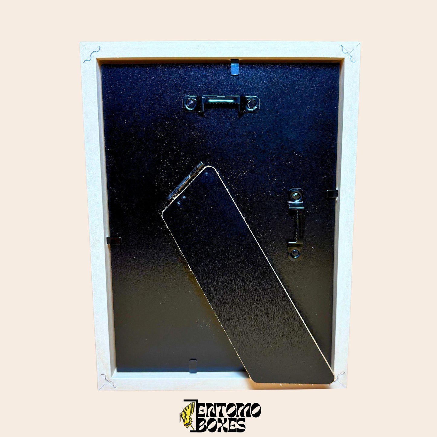 white shadow frame for insect display