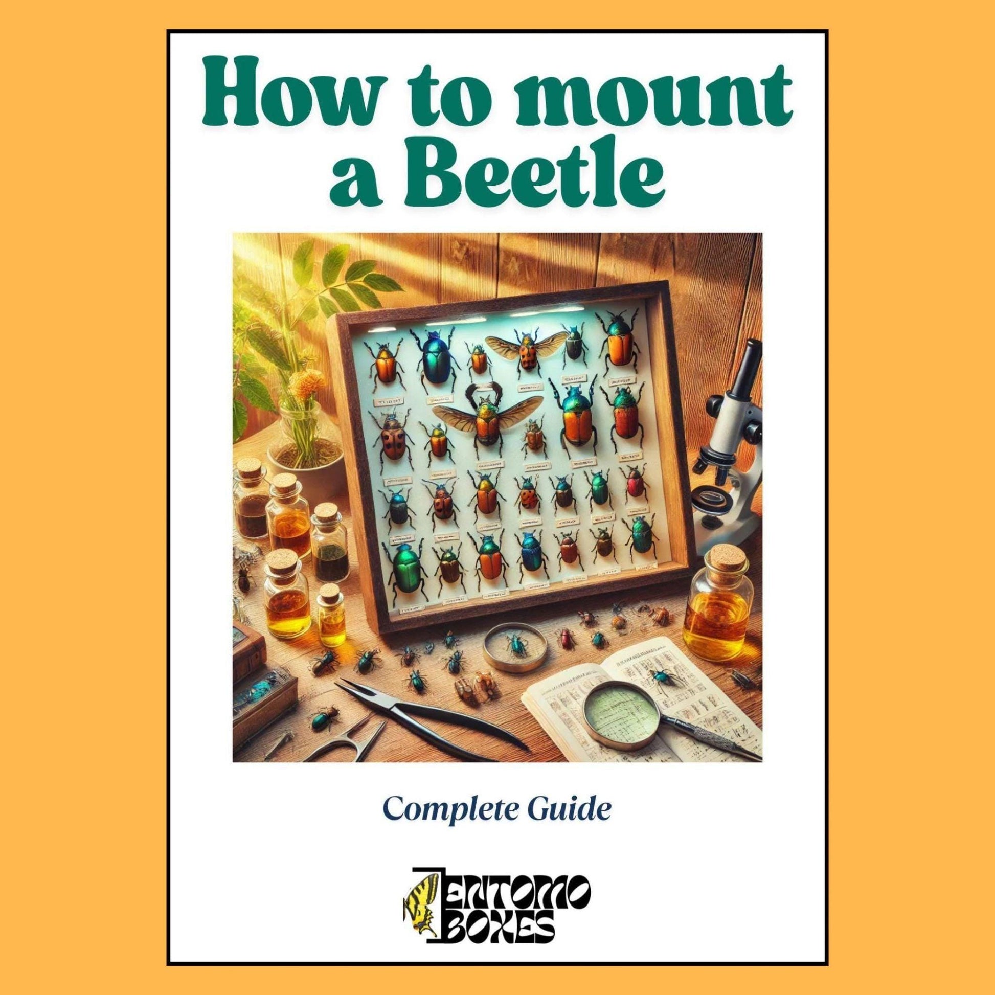 beetle pinning guide