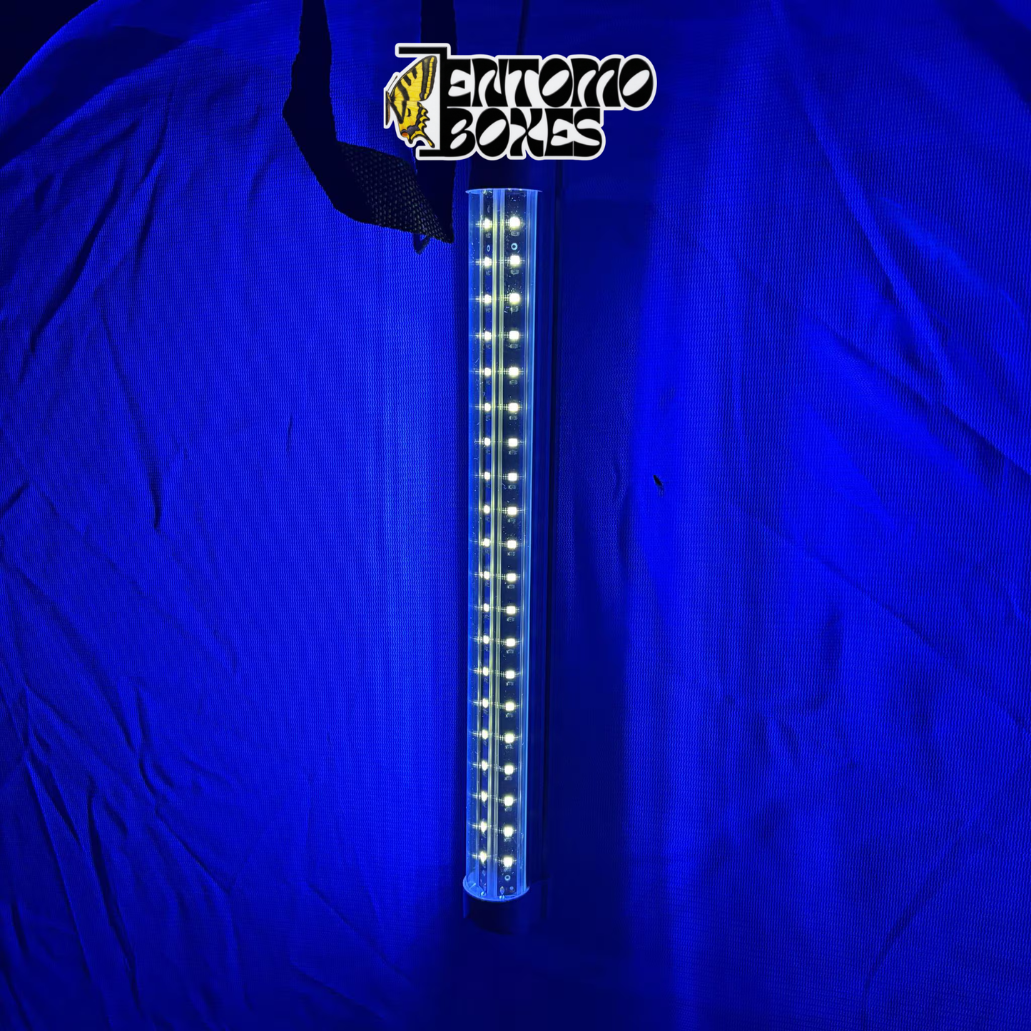 Close-up of the UV LED light strip inside the EntomoBoxes moth light trap