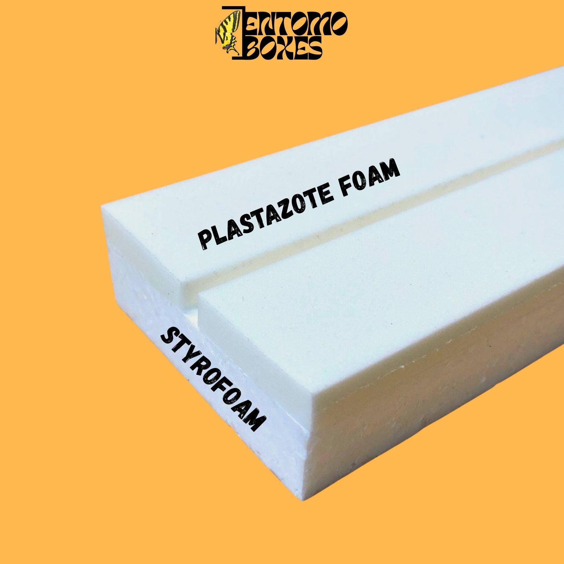 self healing foam butterflies pinning board