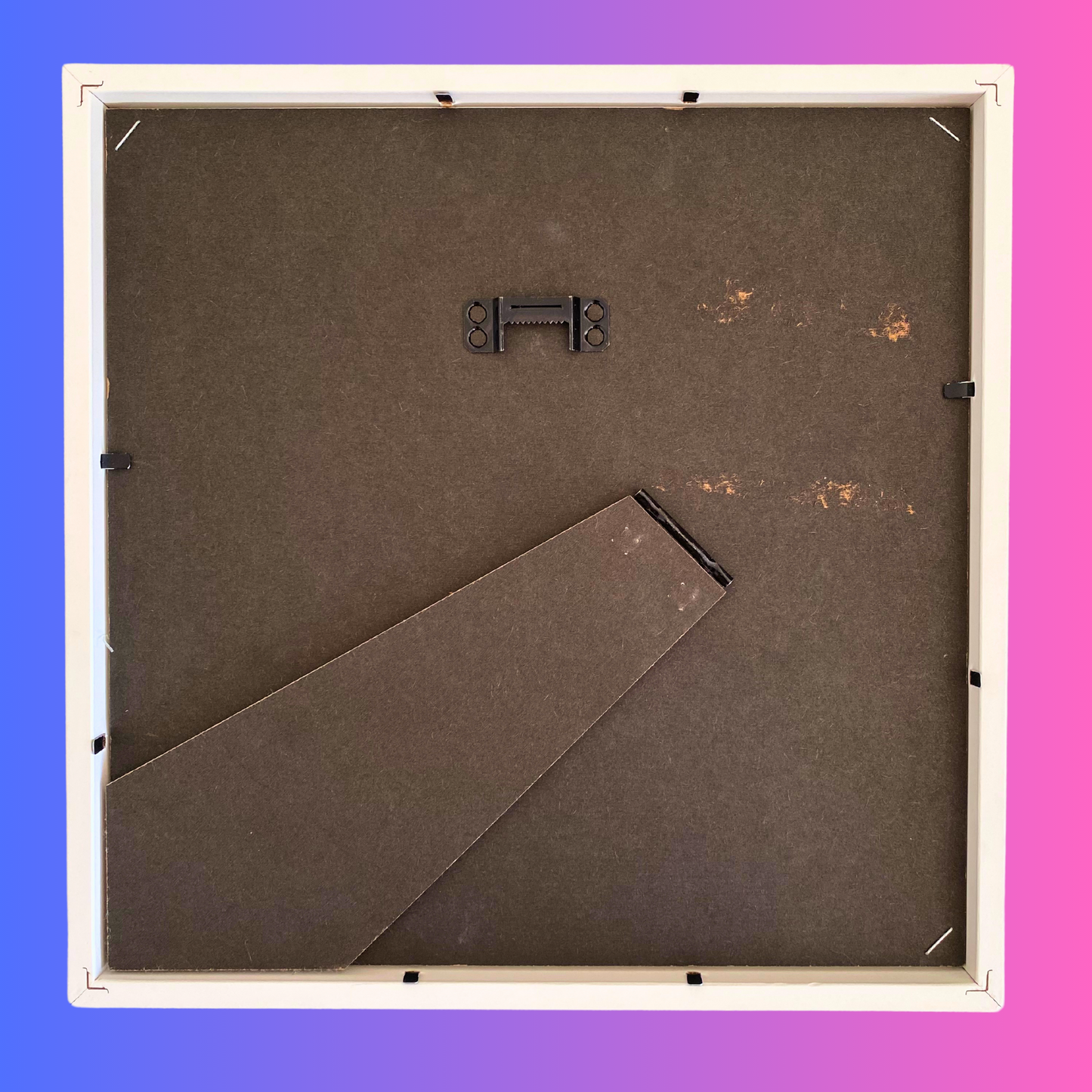 Morpho didius-Anzeige