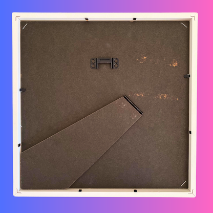 Morpho didius-Anzeige