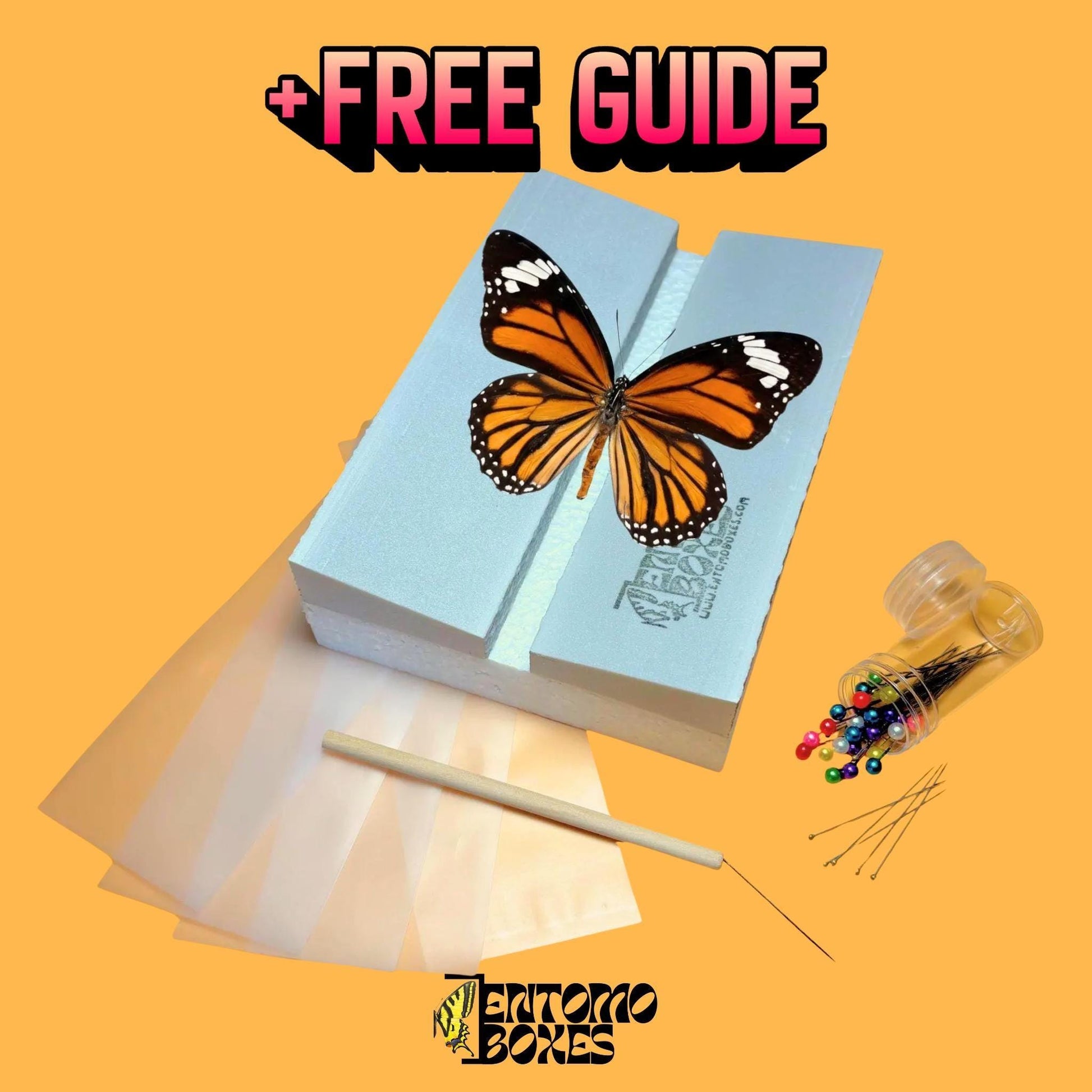 butterfly pinning kit