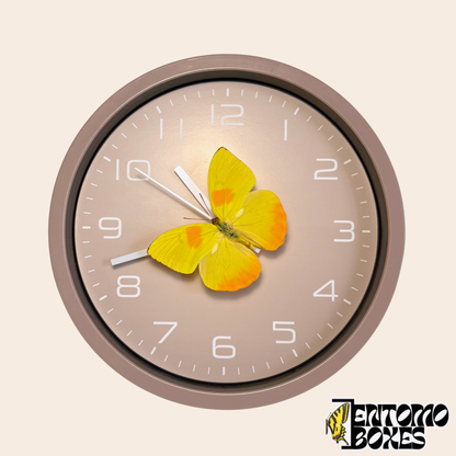 Wanduhr in Taupe mit einem echten gelben Schmetterling (Phoebis philea) auf dem Sekundenzeiger, Vorderansicht