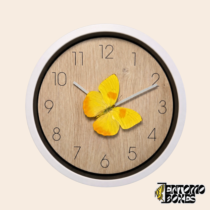 Weiße Wanduhr mit Zifferblatt in heller Holzoptik und einem echten gelben Schmetterling Phoebis philea auf dem Minutenzeiger, Vorderansicht