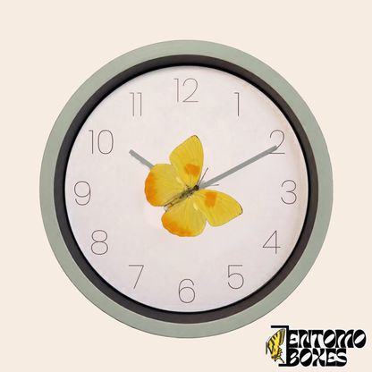 Salbeigrüne Wanduhr mit weißem Zifferblatt und einem echten Schmetterling Phoebis philea auf dem Minutenzeiger, Vorderansicht