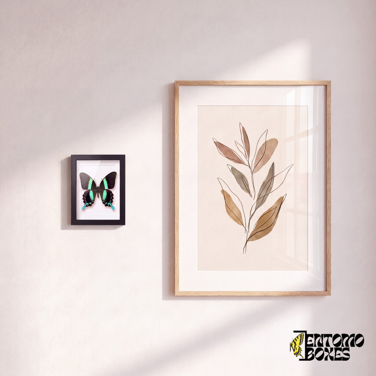 Kleiner gerahmter Schwalbenschwanz an der Wand neben einem botanischen Kunstposter