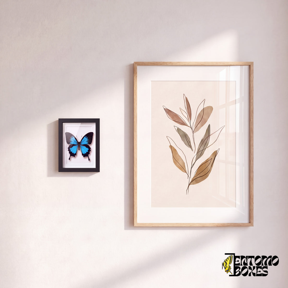 Kleiner gerahmter Odysseusfalter an der Wand neben einem botanischen Kunstposter