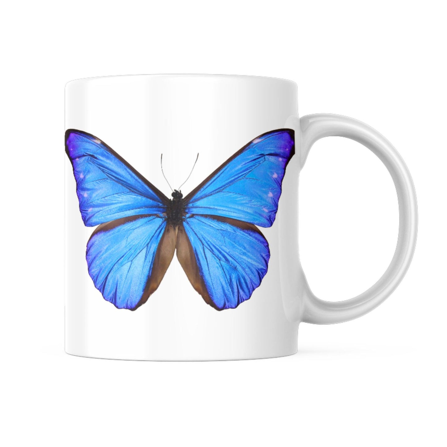 EntomoBoxes Schmetterling-themed Keramikbecher, ideales Geschenk für Entomologie und nature enthusiasts