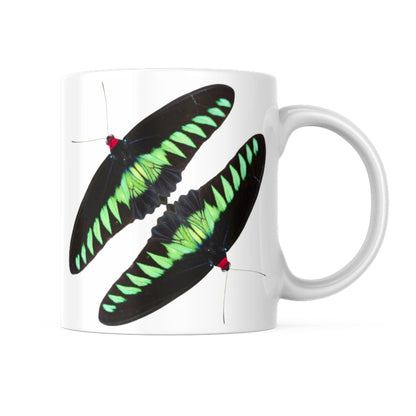 EntomoBoxes Schmetterling-themed Keramikbecher, ideales Geschenk für Entomologie und nature enthusiasts