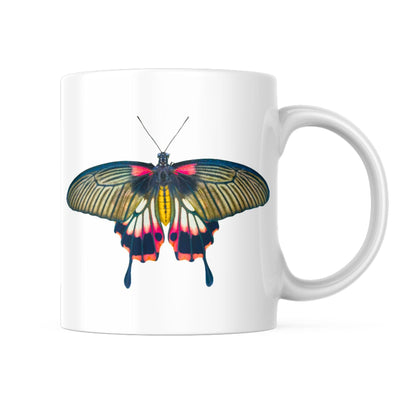 EntomoBoxes Schmetterling-themed Keramikbecher, ideales Geschenk für Entomologie und nature enthusiasts