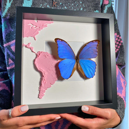 morpho didius tropisch Schmetterling im Rahmen mit 3D printed map von south america