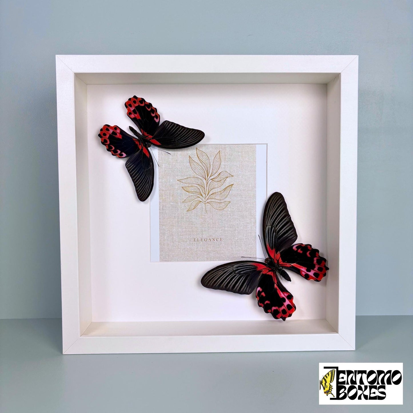 photo frame mit Schmetterlinge