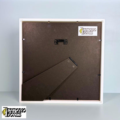 echter Schmetterling photo frame für photos und pictures