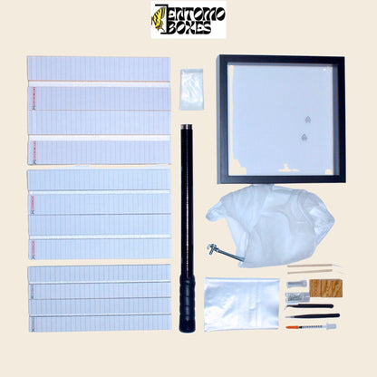 PRO Butterfly Collector starting KIT entomology collection insect catching (etsy image id: 7702309553)