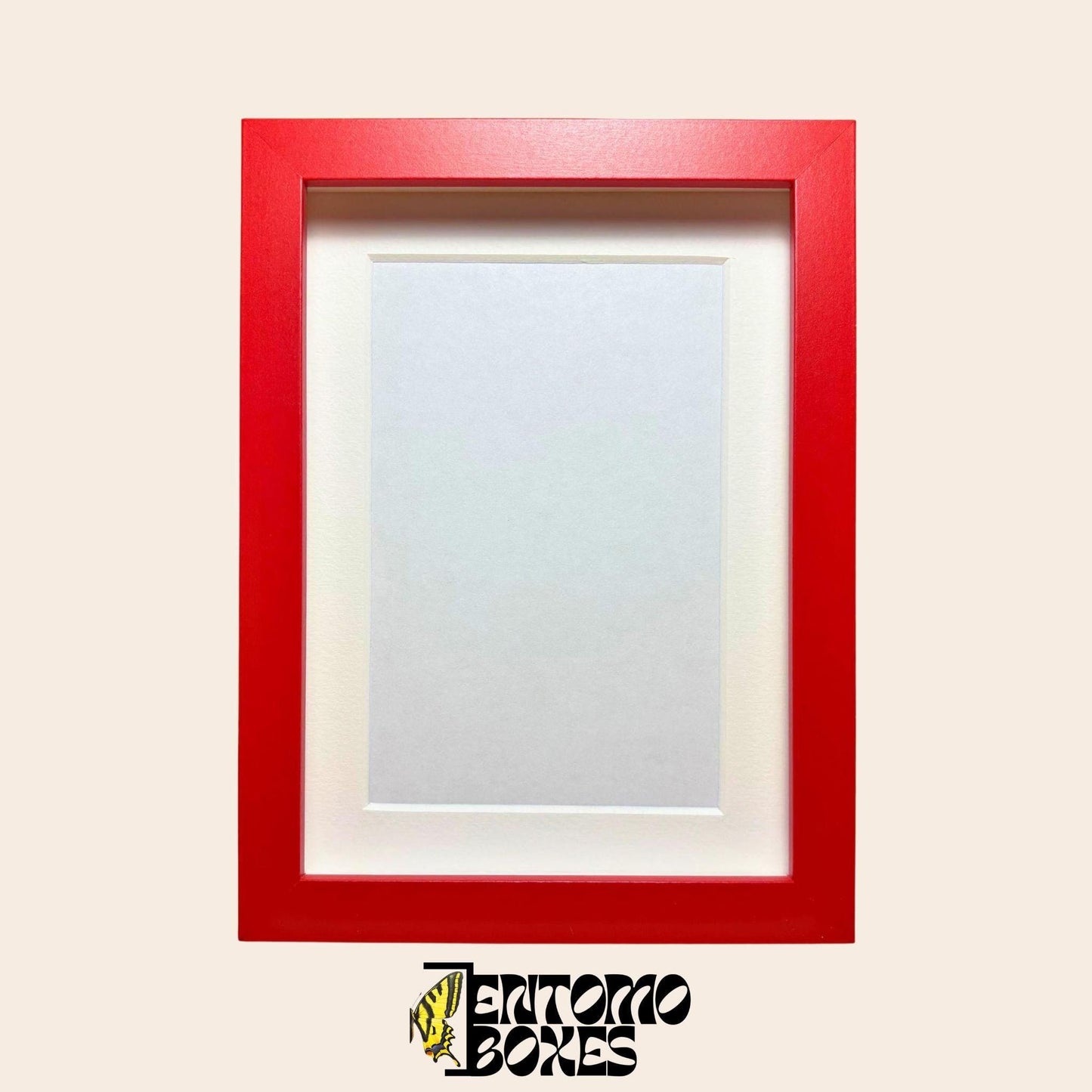 DEEP shadow boxes frames für Insekt Schmetterlinge Vitrine für Entomologie Taxidermie