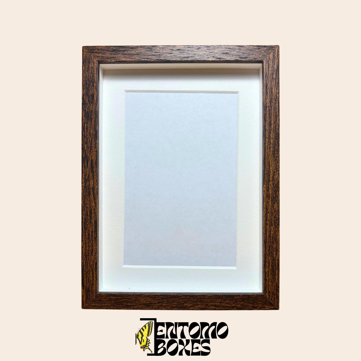 DEEP shadow boxes frames für Insekt Schmetterlinge Vitrine für Entomologie Taxidermie