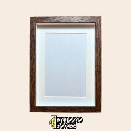 DEEP shadow boxes frames für Insekt Schmetterlinge Vitrine für Entomologie Taxidermie