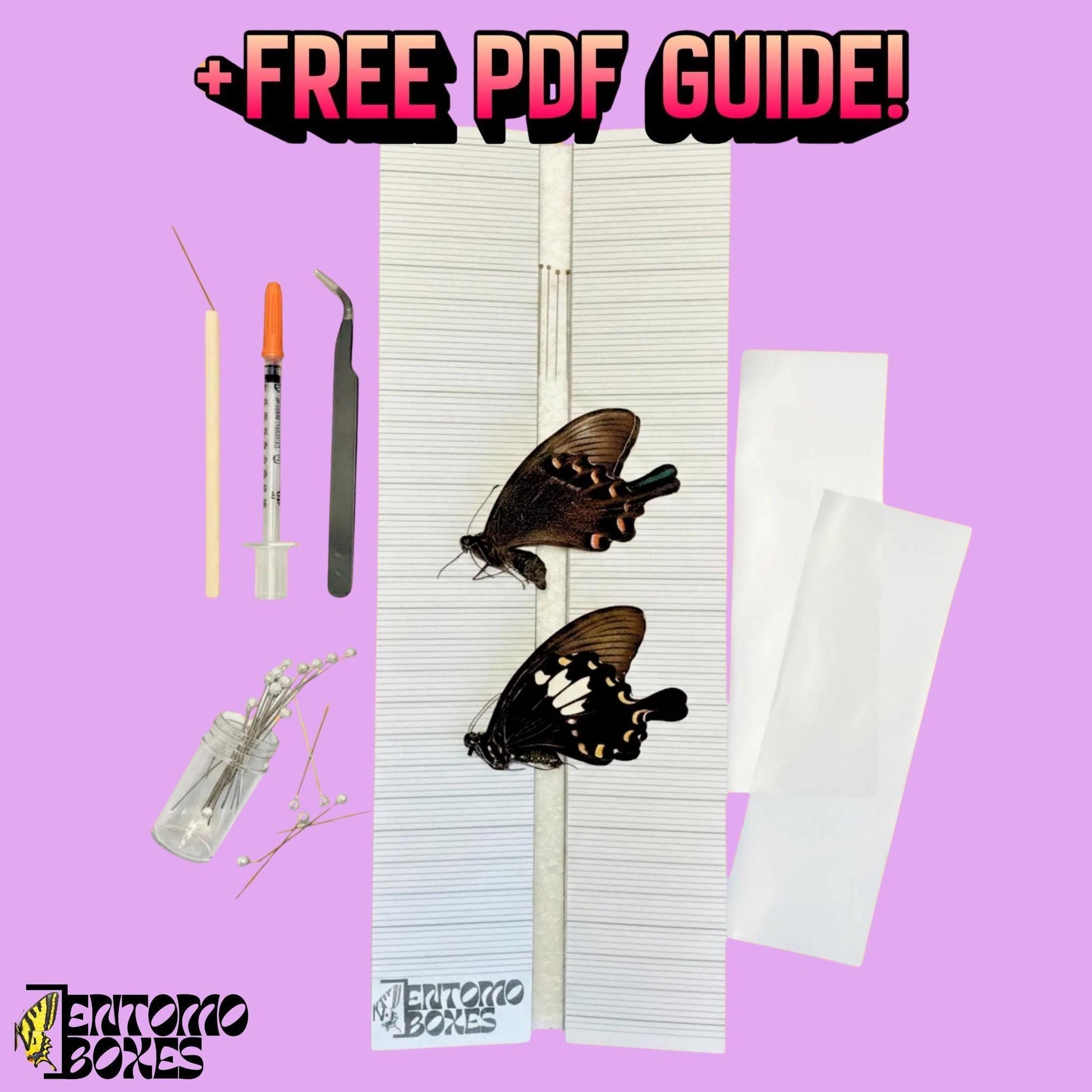 Schmetterling Sammlung Einsteiger-Set mit all you need