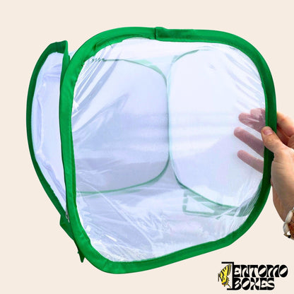 Insekt breeding net cage