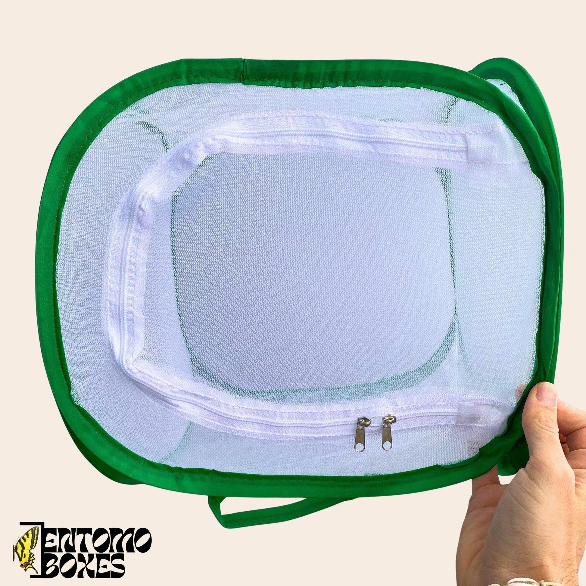 Insekt breeding net cage