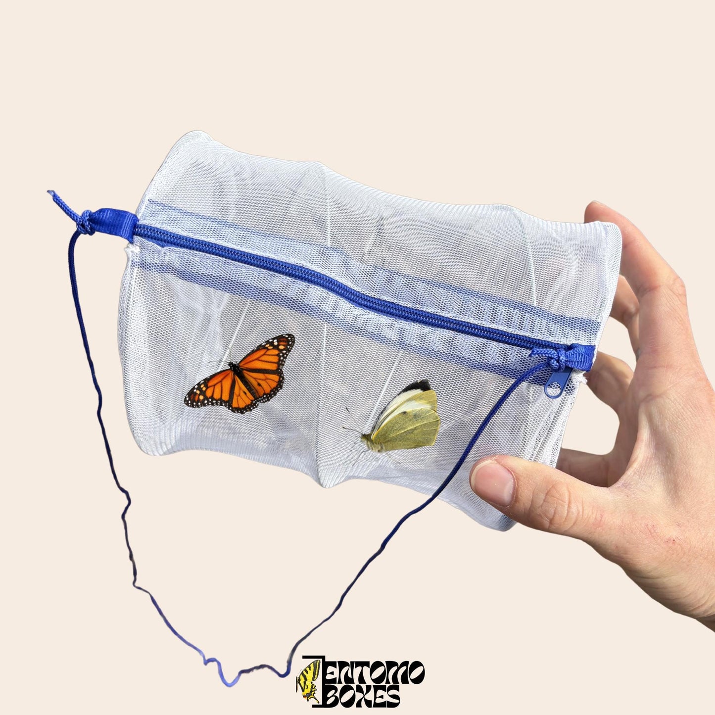 collapsible Insekt field net cage