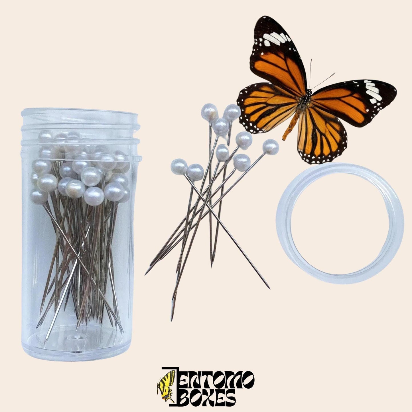 Entomologie-Montagenadeln