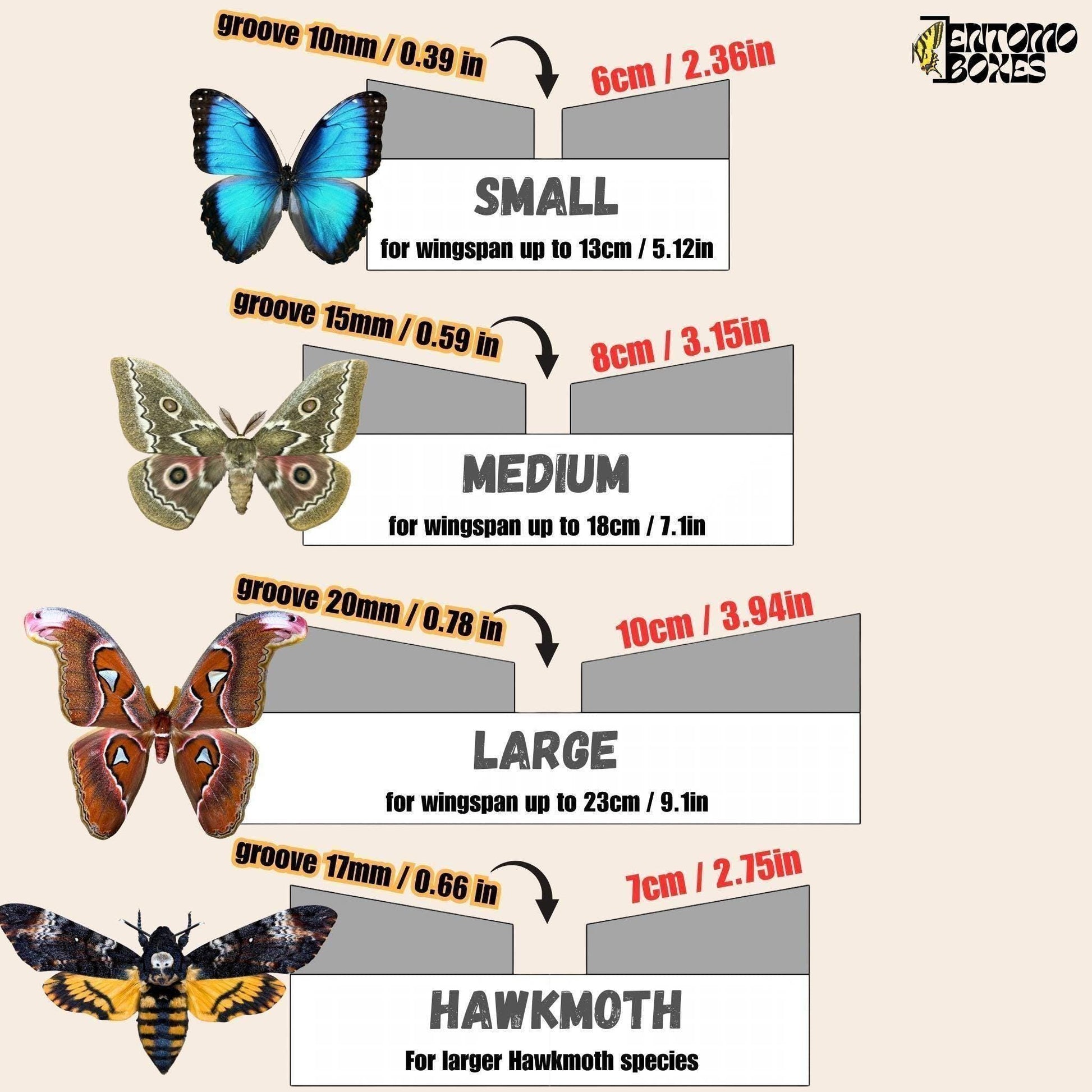 Large Angled Foam Pinning Board: Professional Butterfly and Moth Mounting Tool (etsy image id: 8013275981)