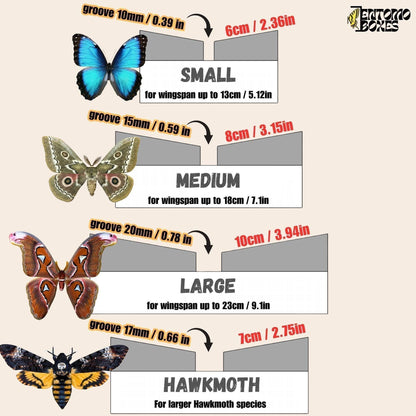 Large Angled Foam Pinning Board: Professional Butterfly and Moth Mounting Tool (etsy image id: 8013275981)