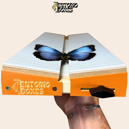 Verstellbares Spannbrett