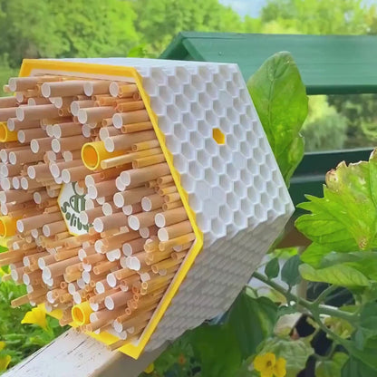 SoliBuzz Insektenhotel